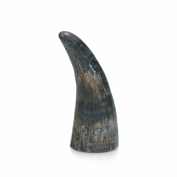 Viking Whole Horn - S – Bild 6