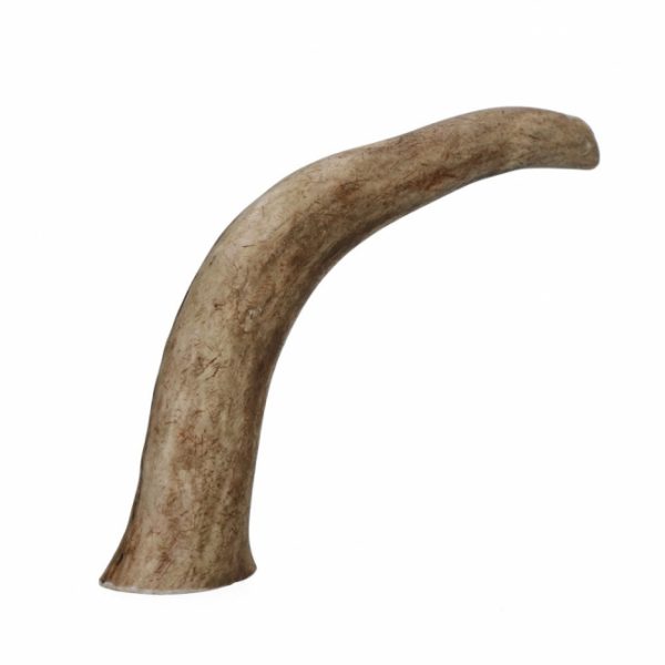 Viking Antler Hard Rothirschgeweih - XL – Bild 3